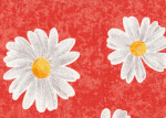 Margarite